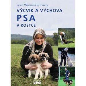 Výcvik a výchova PSA v kostce