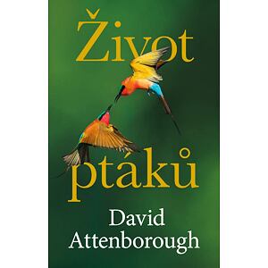 Život ptáků