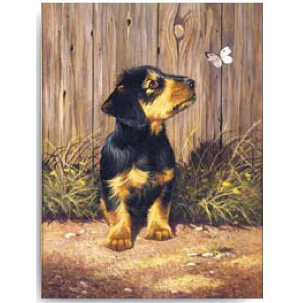 SMT Maľovanie Royal 22x30cm Psík s motýľom