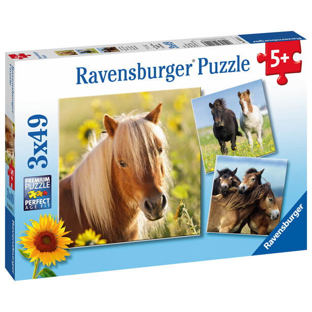 Ravensburger Kone 3x49 dielikov