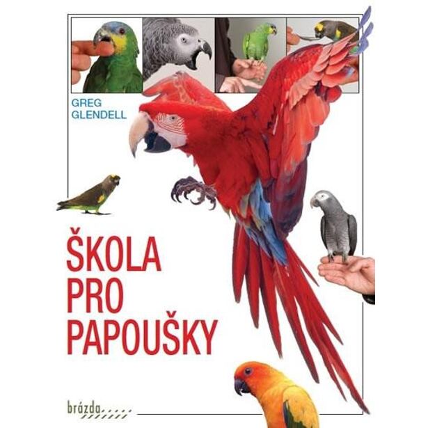 Škola pro papoušky