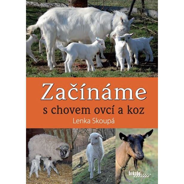 Začínáme s chovem ovcí a koz