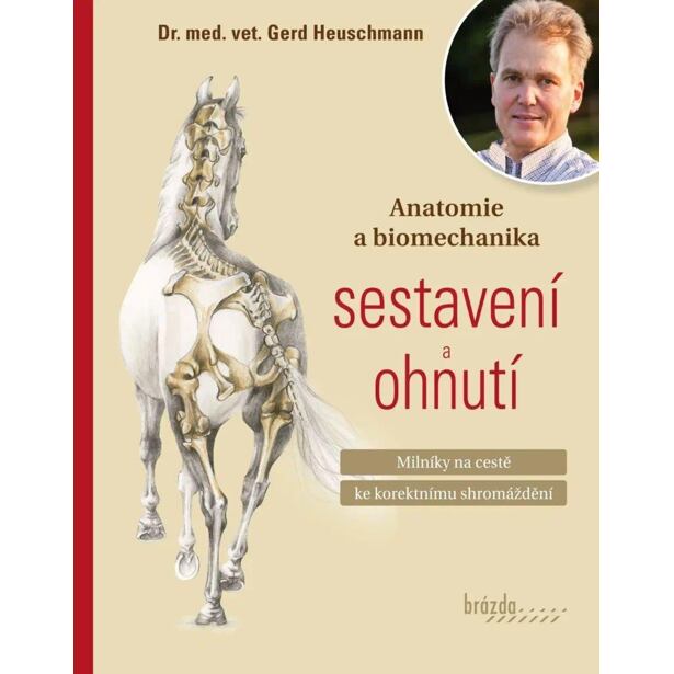 Anatomie a biomechanika sestavení a ohnutí - Milníky na cestě ke korektnímu shromáždění
