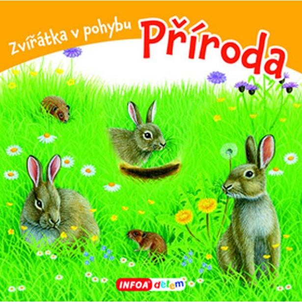 Příroda - Zvířátka v pohybu