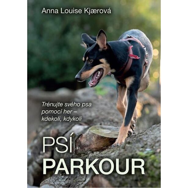 Psí parkour
