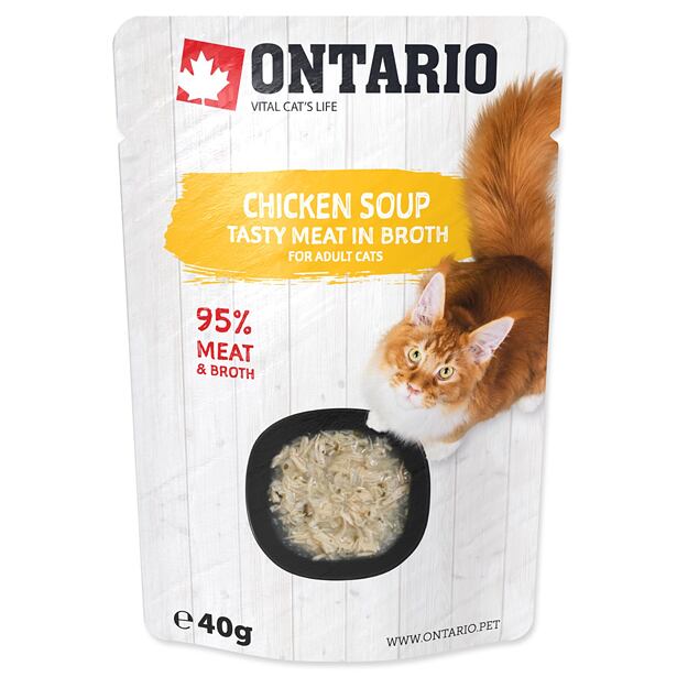 Polievka ONTARIO kuracie 40 g