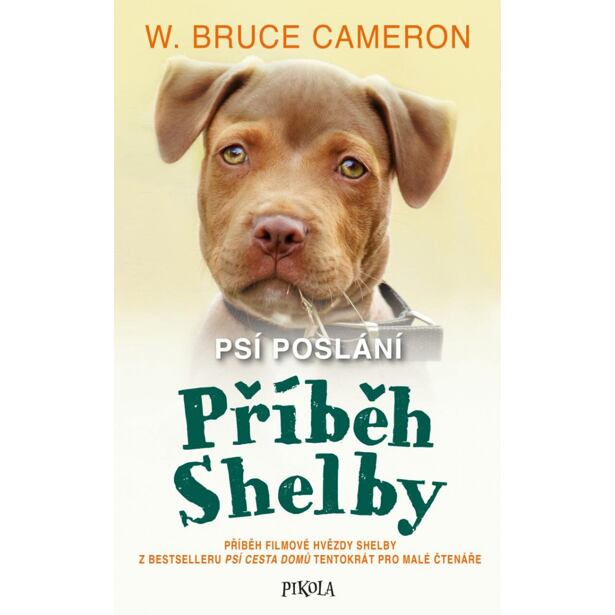 Psí poslání: Příběh Shelby