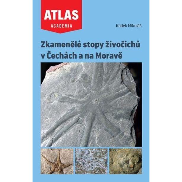 Zkamenělé stopy živočichů v Čechách a na Moravě