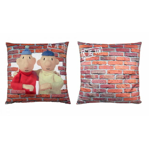 MORAVSKÁ ÚSTŘEDNA Polštář 30x30cm Pat&Mat, zeď