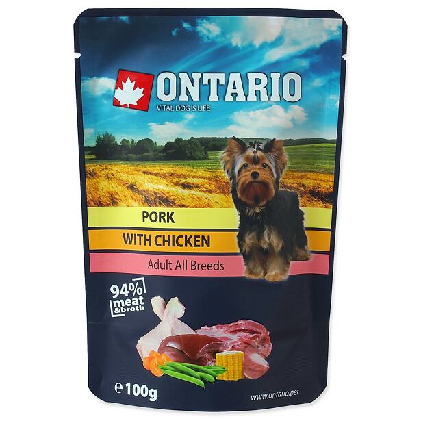 Kapsička ONTARIO bravčové s kuracím vo vývare 100 g