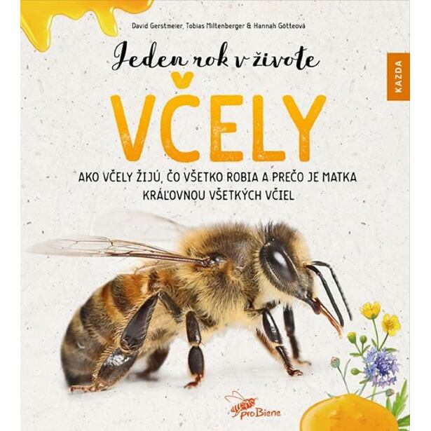 Jeden rok v živote včely - Ako včely žijú, čo všetko robia a prečo je matka kráľovnou všetkých včiel