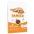 IAMS Cat Kitten Chicken 10 kg