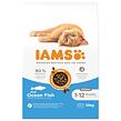 IAMS Cat Kitten Ocean Fish 10 kg