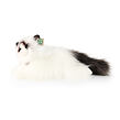 Rappa Plyšová kočka Ragdoll ležící 35 cm ECO-FRIENDLY