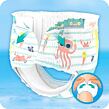 SOL 81668262 Pampers Splashers, 10 Plienkových Nohavičiek - poškodený obal