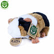 Rappa Plyšové morča, 17 cm, ECO-FRIENDLY