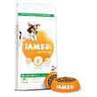 IAMS Dog Adult Small & Medium Lamb 12 kg