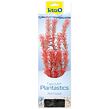 Rastlina TETRA Foxtail Red L 1 ks