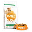 IAMS Dog Adult Large Chicken 3 kg