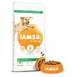 IAMS Dog Adult Large Lamb 12 kg