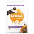 IAMS Cat Kitten Chicken 10 kg