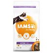 IAMS Cat Kitten Chicken 2 kg