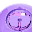 Spin Master Hatchimals Létající víla duhová třpytka