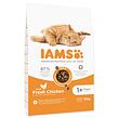 IAMS Cat Adult Chicken 10 kg