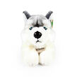 Rappa Plyšový pes husky ležící 30 cm ECO-FRIENDLY