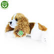 Plyšový pes Kavalír King Charles španěl ležící 30 cm ECO-FRIENDLY