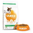IAMS Dog Adult Small & Medium Lamb 3 kg