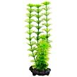 Rastlina TETRA Ambulia S 1 ks