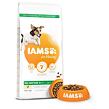 IAMS Dog Adult Small & Medium Chicken 12 kg