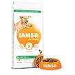 IAMS Dog Adult Large Chicken 12 kg