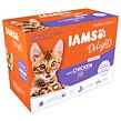 Kapsička IAMS Delights kitten kuře v omáčce multipack (12x85gr) 1020 g