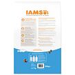 IAMS Cat Kitten Ocean Fish 10 kg