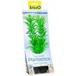 Rastlina TETRA Green Cabomba M 1 ks