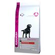 EUKANUBA Labrador Retriever 12 kg