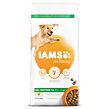 IAMS Dog Adult Large Chicken 12 kg