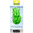 Rastlina TETRA Hygrophila S 1 ks